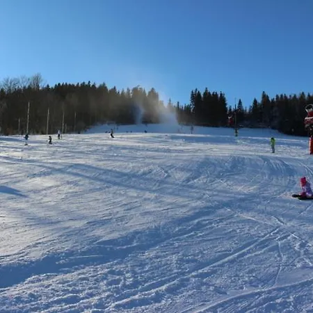 Karpatka 2 Przy Wyciagu Narciarskim 4 Dwie Lazinki