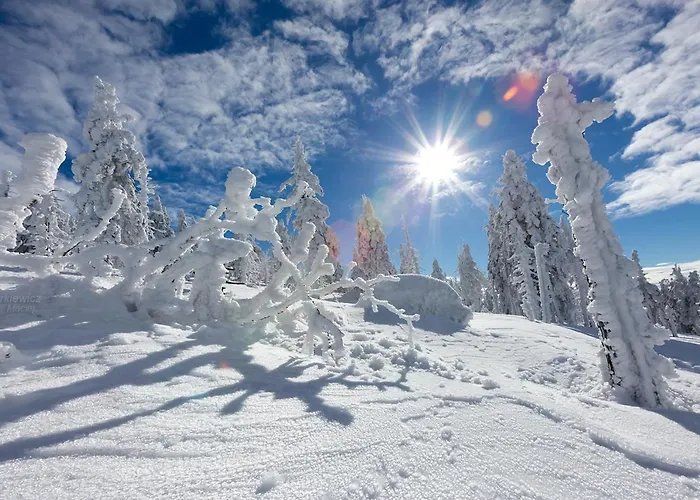 Karpatka 2 Przy Wyciagu Narciarskim 4 Dwie Lazinki Appartamento Karpacz